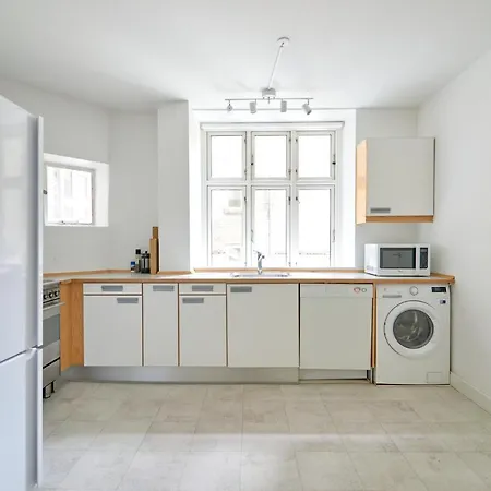 Apartment Xl Flat W 3 Bedrooms By Kings Garden In Cph *